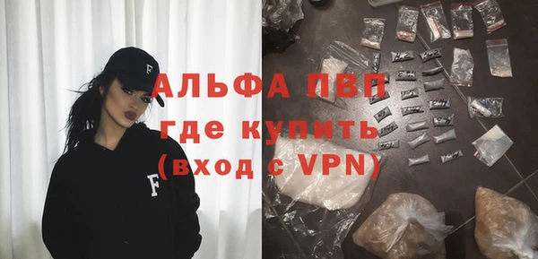прущие грибы Белокуриха