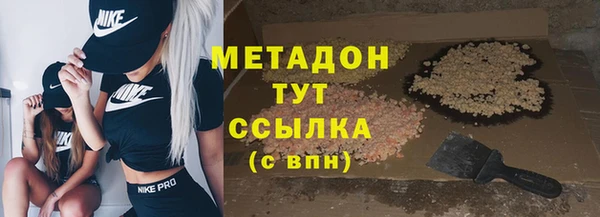 прущие грибы Белокуриха