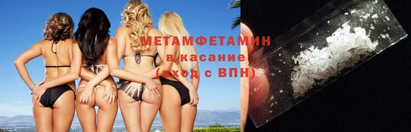 крисы Баксан
