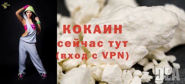 прущие грибы Белокуриха