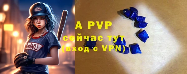 прущие грибы Белокуриха