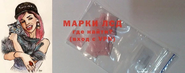 прущие грибы Белокуриха
