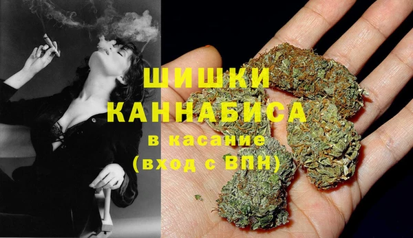 прущие грибы Белокуриха