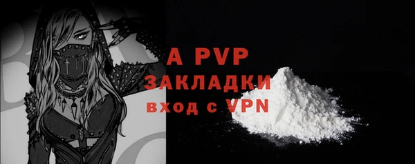 прущие грибы Белокуриха