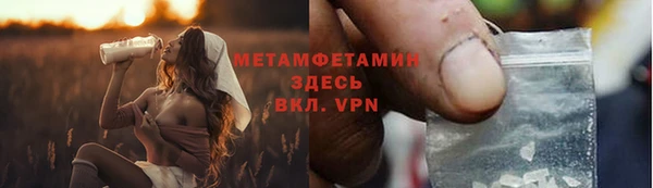 прущие грибы Белокуриха