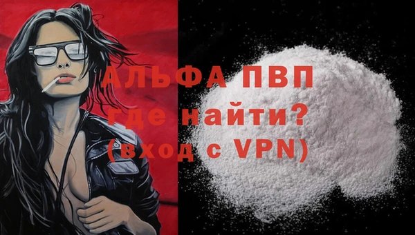 прущие грибы Белокуриха