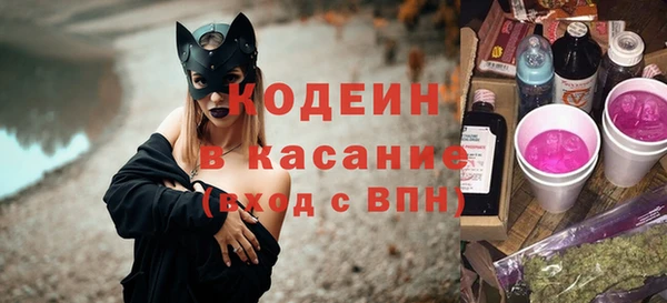 мдпв Тавда