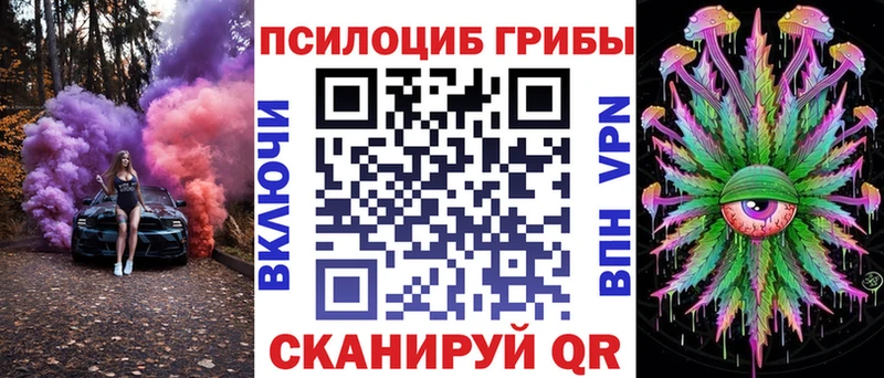 Псилоцибиновые грибы Psilocybine cubensis  Вязники 
