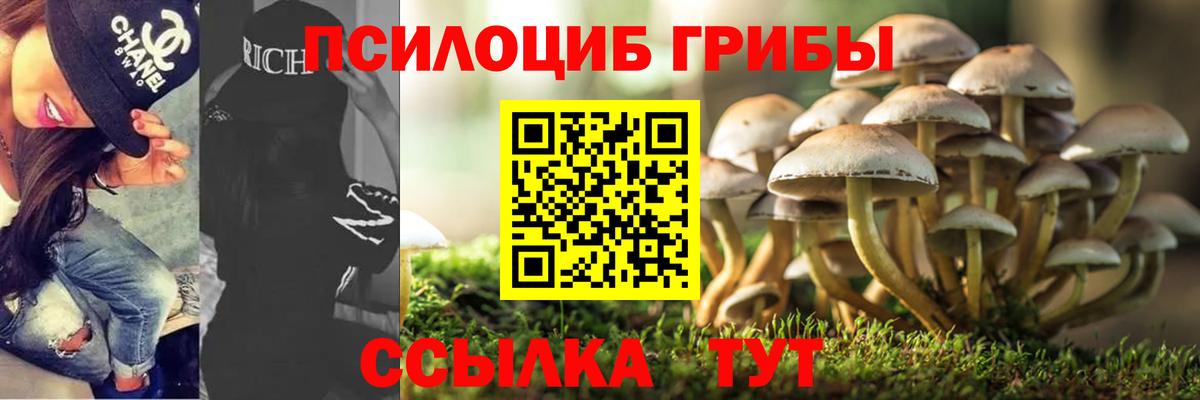 Галлюциногенные грибы ЛСД Вязники