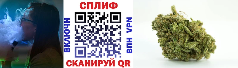 Бошки Шишки ГИДРОПОН  закладки  Вязники 
